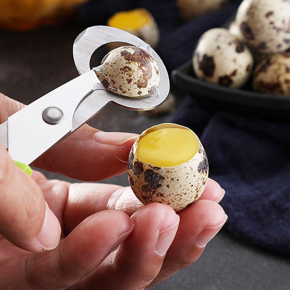 Egg Separator Tool - กรรไกรตัดเปลือกไข่นกพิราบ นกกระทา ไข่แตกเล็ก ตัดเปลือกไข่นกแบบเปิด ที่ตัดเปลือกไข่นก ที่เปิดซิการ์