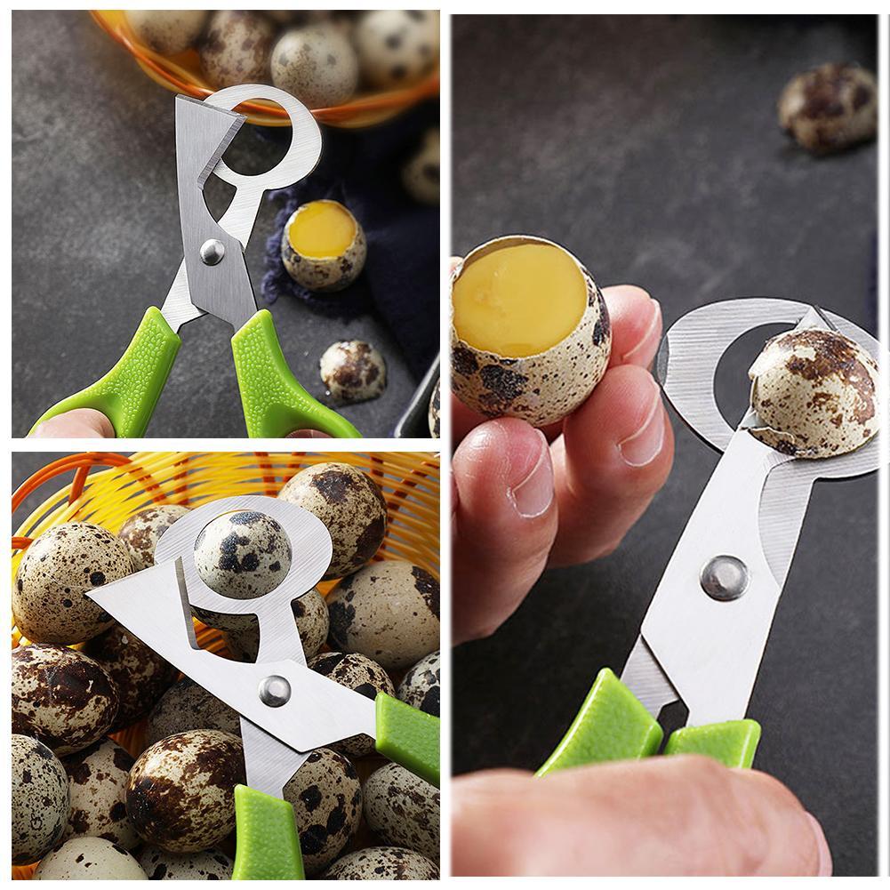 กรรไกรตัดเปลือกไข่นกพิราบ นกกร - Egg Separator Tool บทวิจารณ์และราคา
