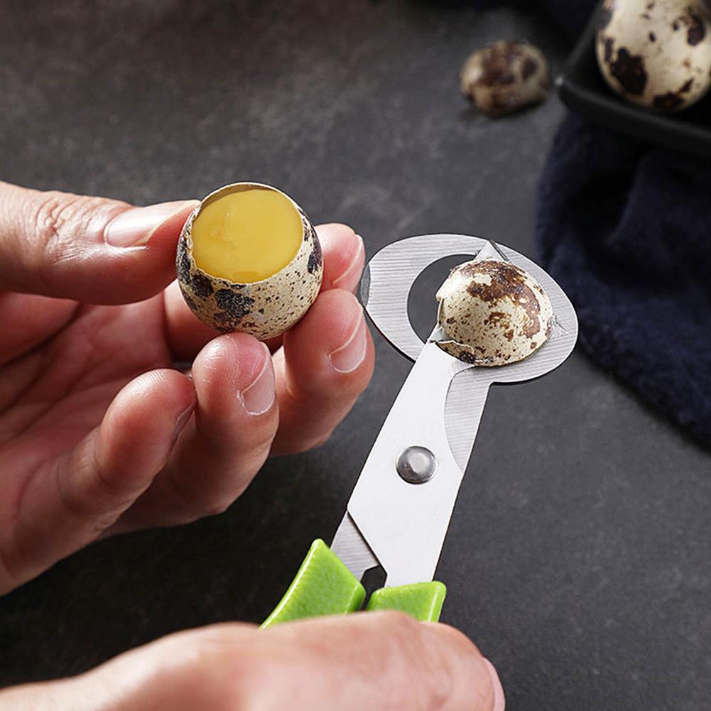 กรรไกรตัดเปลือกไข่นกพิราบ นกกร - Egg Separator Tool บทวิจารณ์และราคา